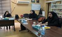 نشست دبیران کارگروه های اعتبار بخشی کلان منطقه 3 آمایش کشور